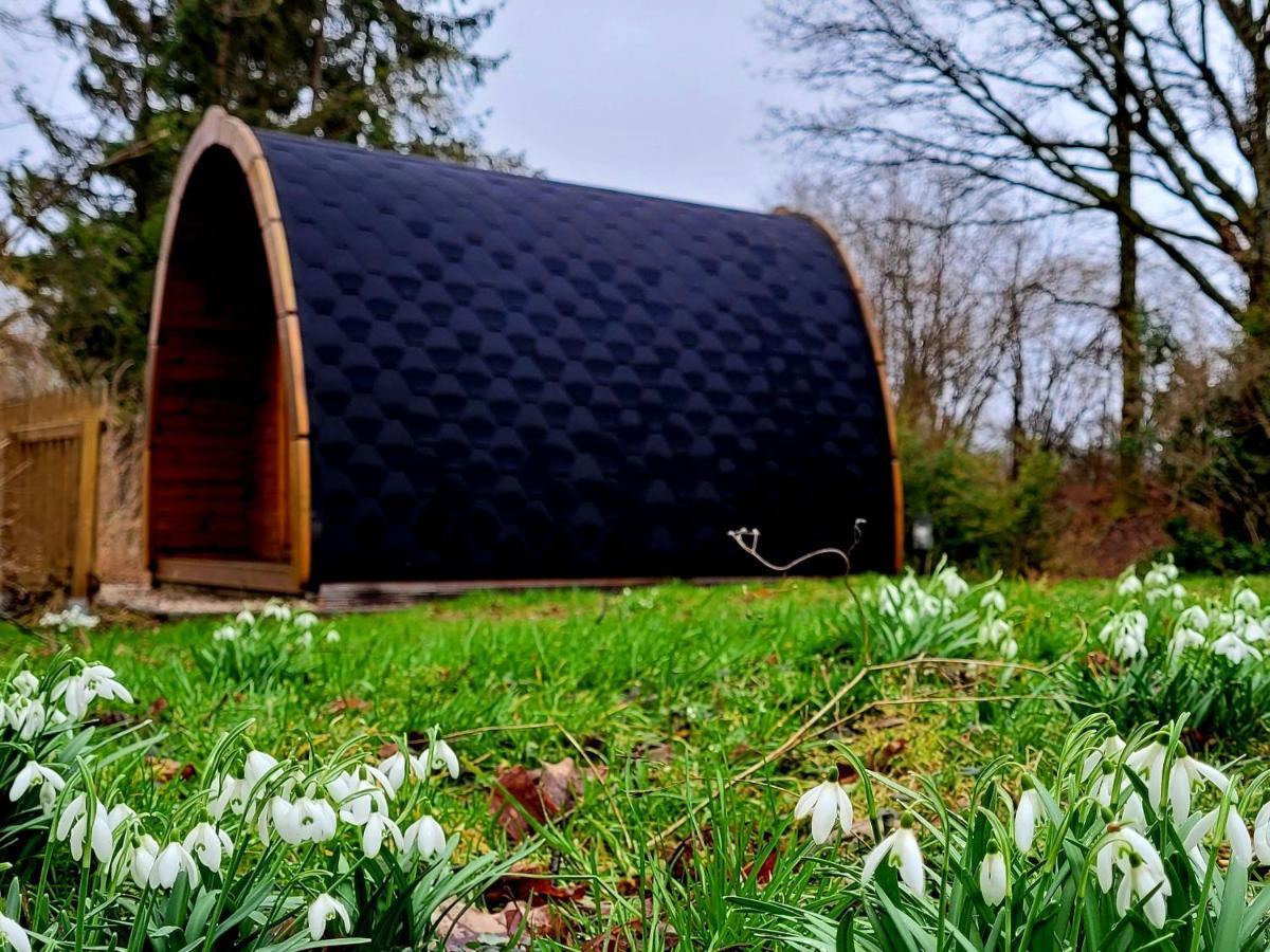 Pods Alte Schule Leilighet Elchweiler Eksteriør bilde
